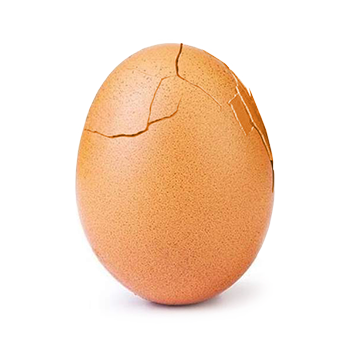 egg
