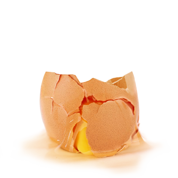egg